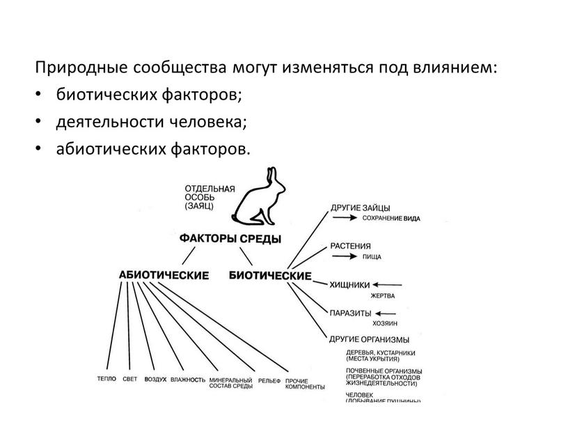 Природные сообщества могут изменяться под влиянием: биотических факторов; деятельности человека; абиотических факторов