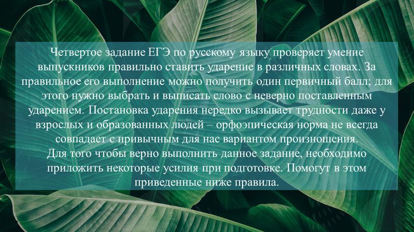 Четвертое задание ЕГЭ по русскому языку проверяет умение выпускников правильно ставить ударение в различных словах