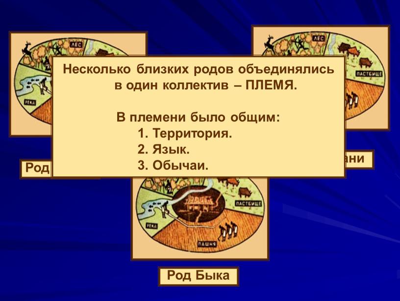 Род Оленя Род Быка Род Лани Несколько близких родов объединялись в один коллектив –