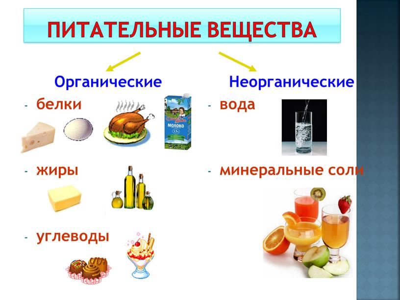 Питательные вещества Органические белки жиры углеводы