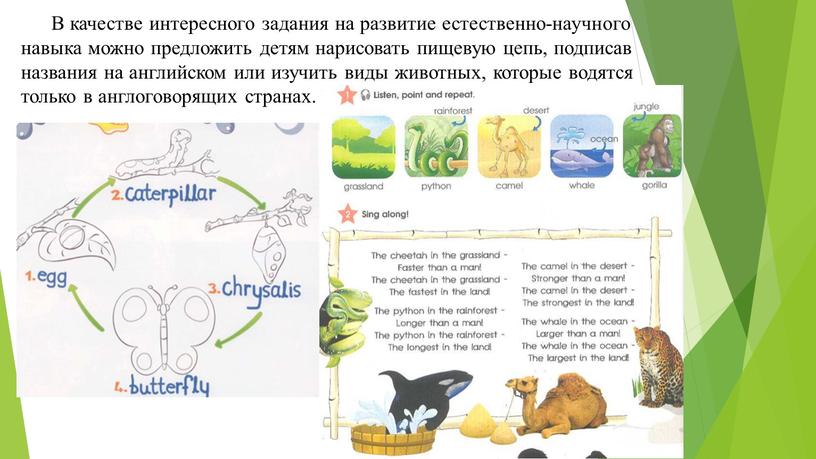 В качестве интересного задания на развитие естественно-научного навыка можно предложить детям нарисовать пищевую цепь, подписав названия на английском или изучить виды животных, которые водятся только…