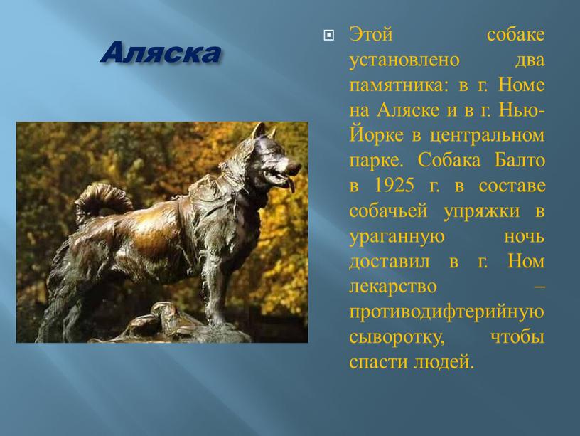 Аляска Этой собаке установлено два памятника: в г