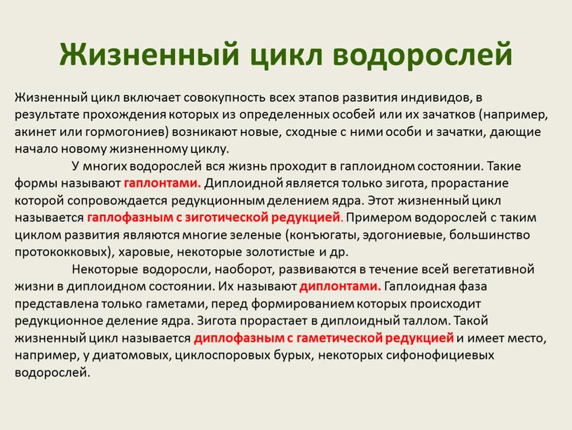 Жизненный цикл водорослей Жизненный цикл включает совокупность всех этапов развития индивидов, в результате прохождения которых из определенных особей или их зачатков (например, акинет или гормогониев)…