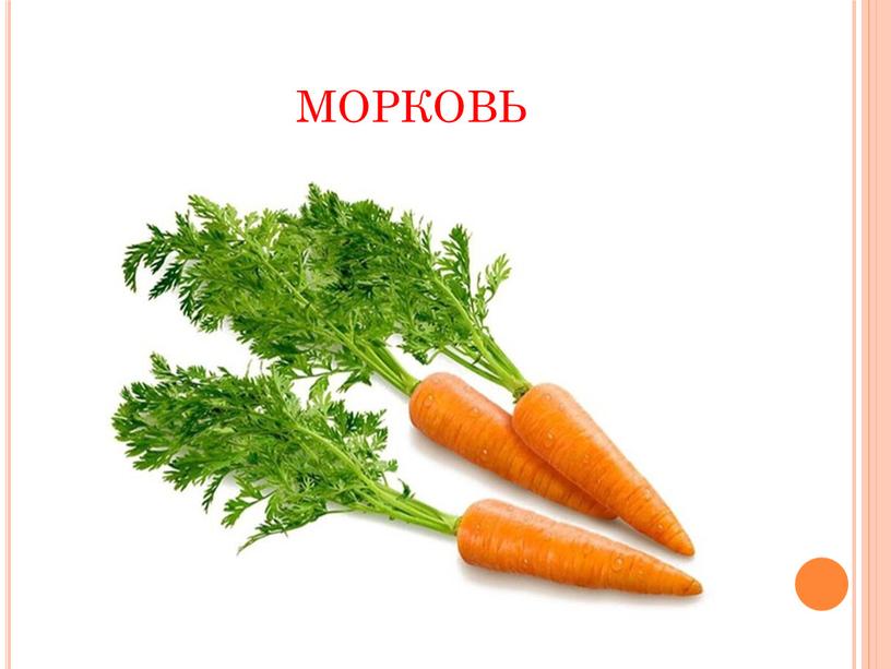 морковь