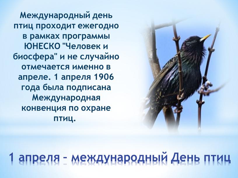 День птиц Международный день птиц проходит ежегодно в рамках программы