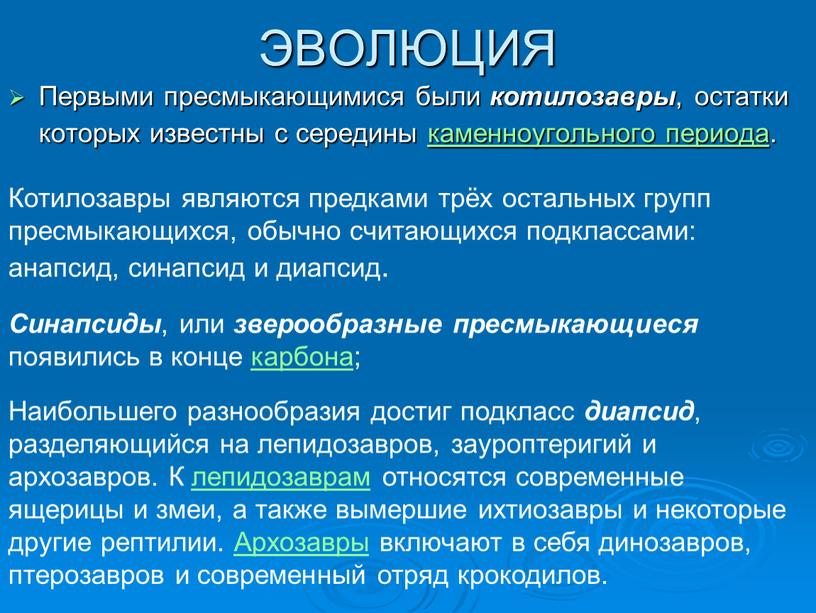 ЭВОЛЮЦИЯ Первыми пресмыкающимися были котилозавры , остатки которых известны с середины каменноугольного периода