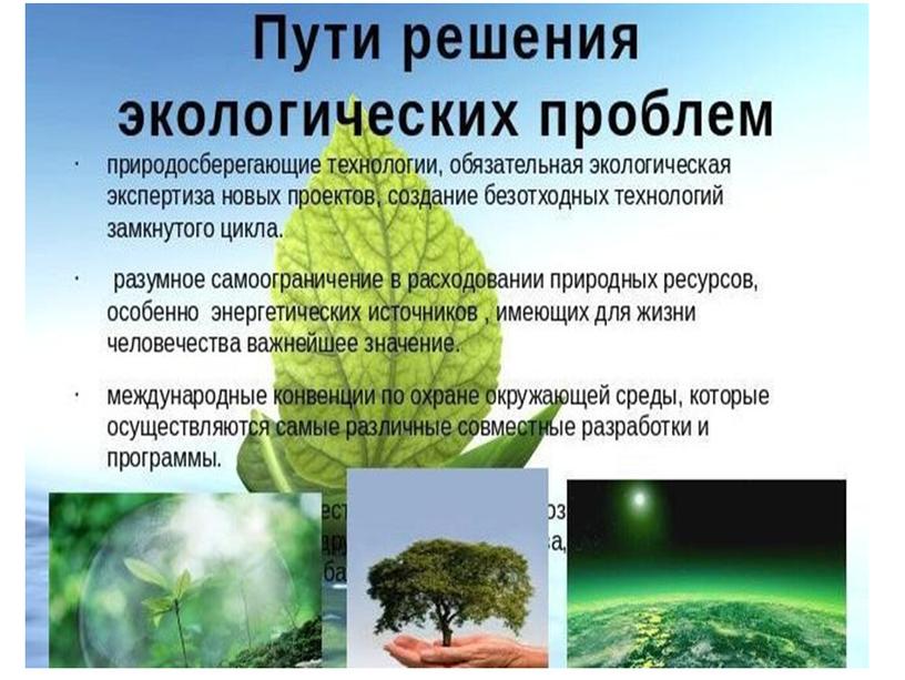 Экологические проблемы и перспективы России
