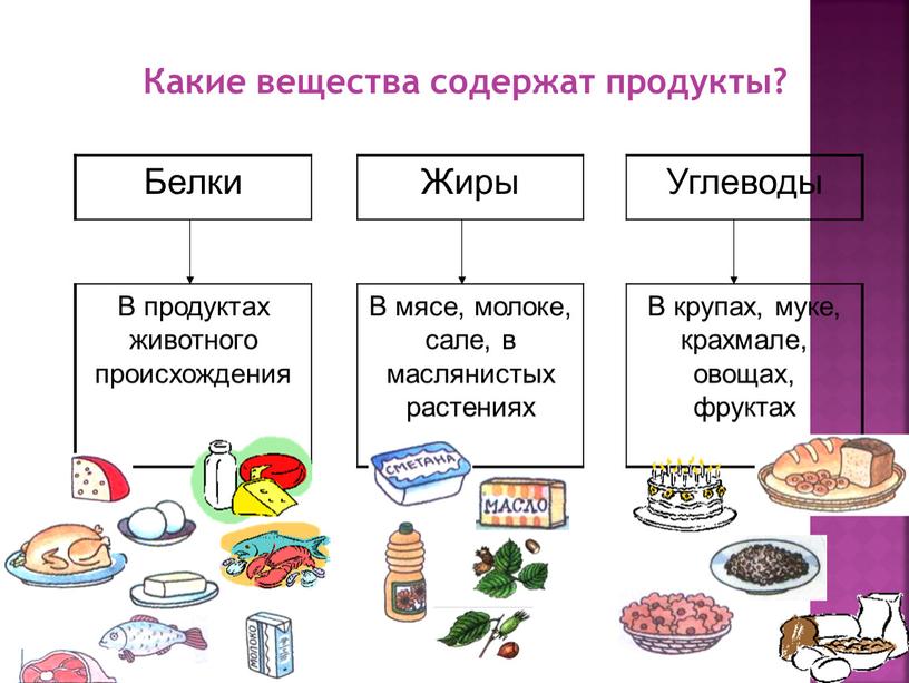 Белки Жиры Углеводы В продуктах животного происхождения