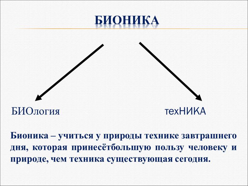 БИОНИКА БИОлогия техНИКА