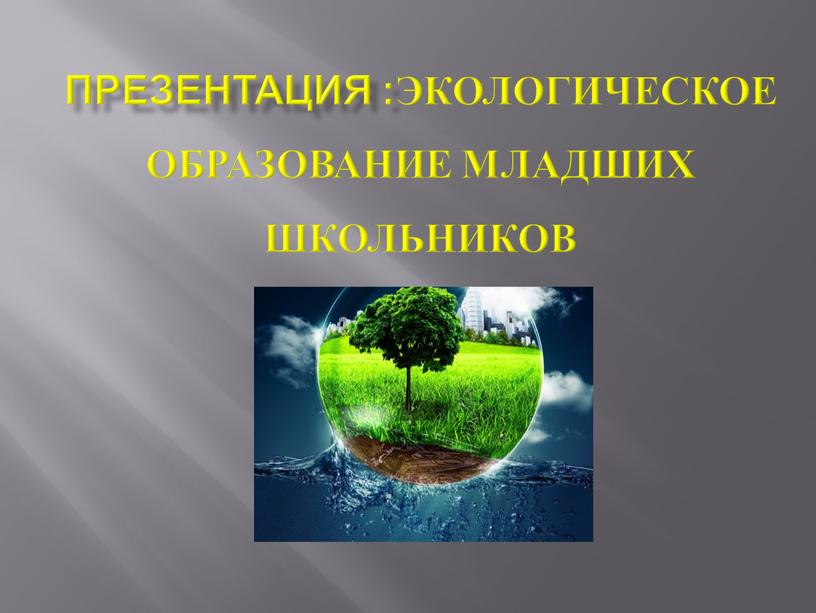 Презентация :Экологическое образование младших школьников