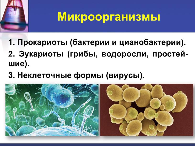 Микроорганизмы 1. Прокариоты (бактерии и цианобактерии)