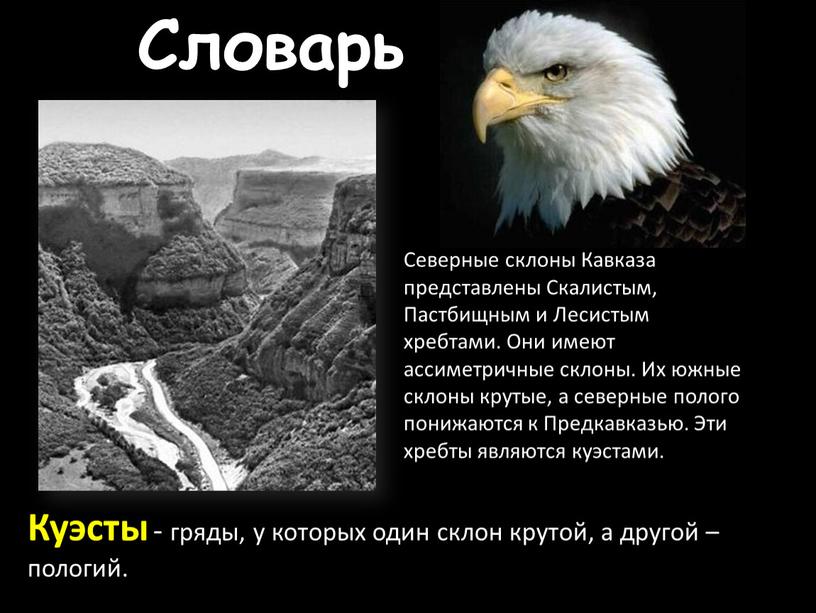 Словарь Куэсты - гряды, у которых один склон крутой, а другой – пологий