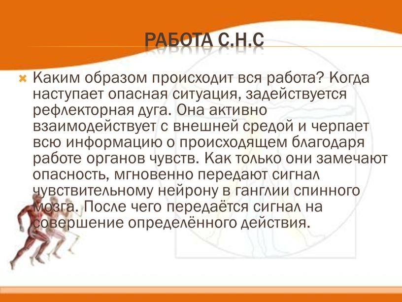 Работа С.Н.С Каким образом происходит вся работа?