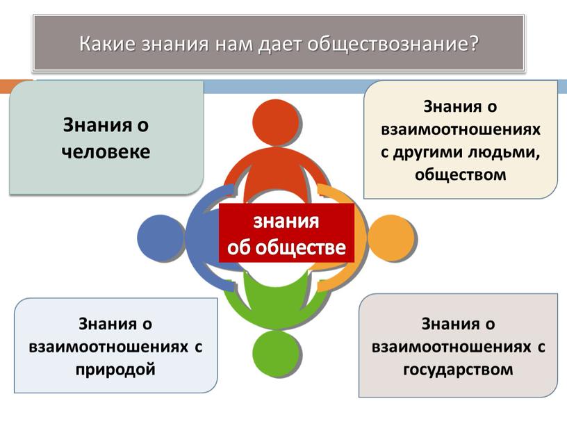 Какие знания нам дает обществознание?