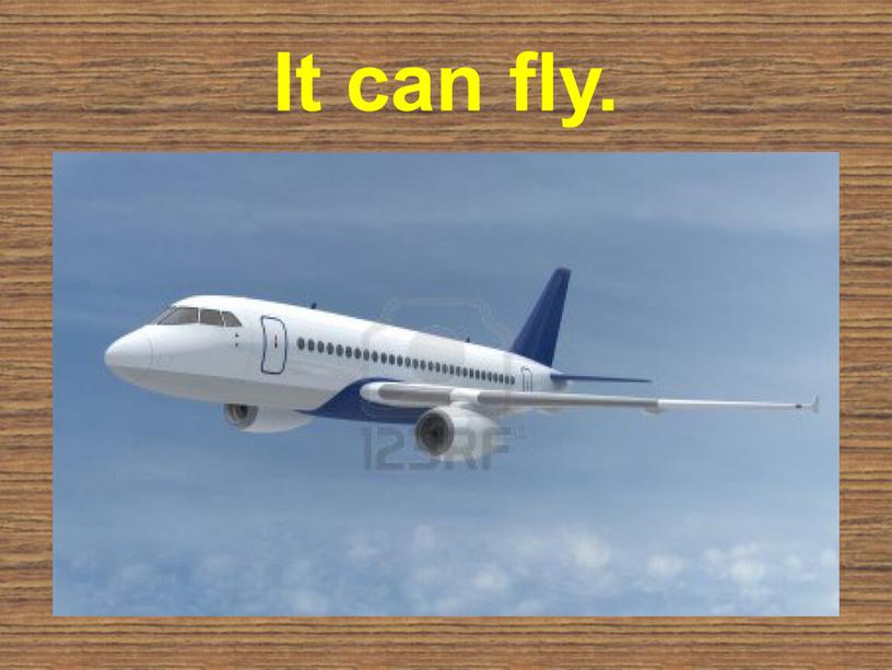 It can fly.