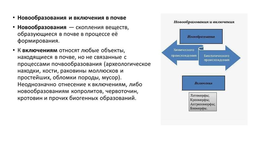 Новообразования и включения в почве