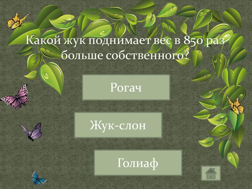 Какой жук поднимает вес в 850 раз больше собственного?