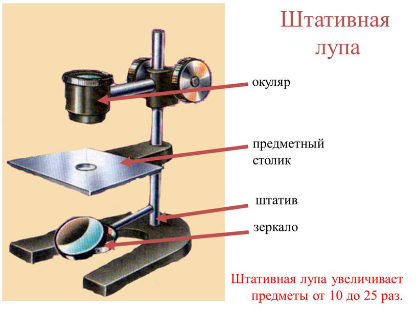 Штативная лупа штатив зеркало предметный столик окуляр