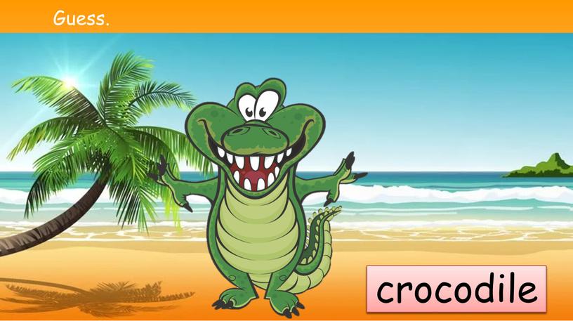 Guess. seal crocodile