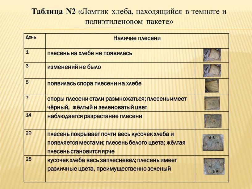 Таблица N2 «Ломтик хлеба, находящийся в темноте и полиэтиленовом пакете»
