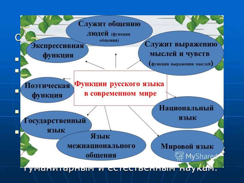 Особенности современного русского языка