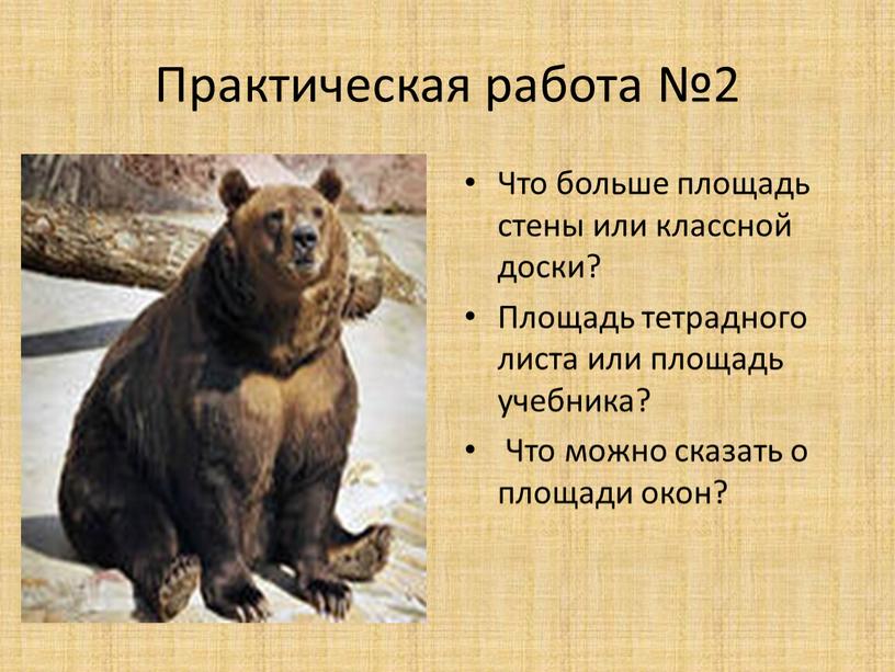 Практическая работа №2 Что больше площадь стены или классной доски?