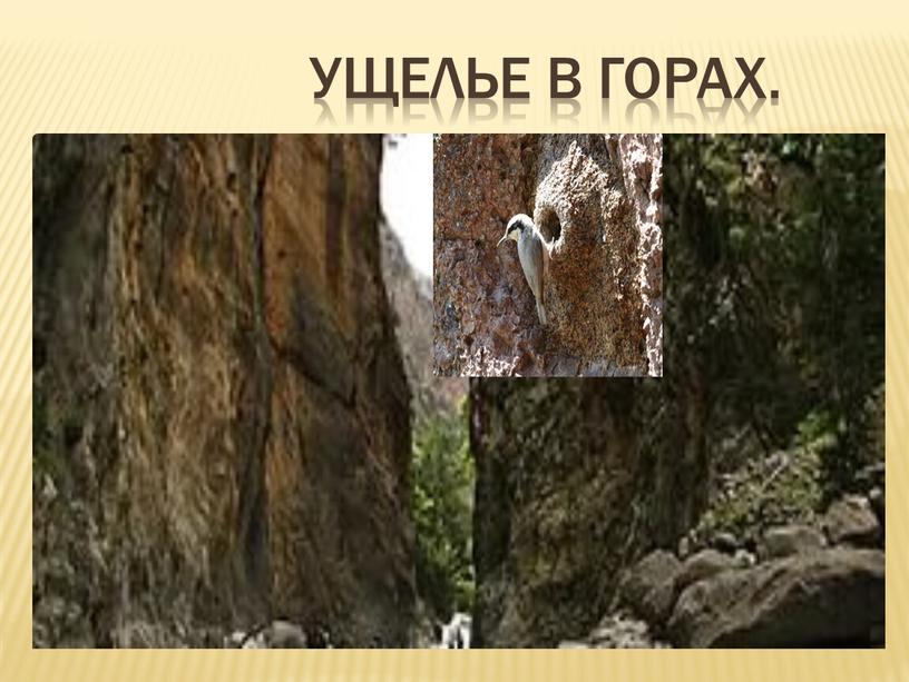 Ущелье в горах.