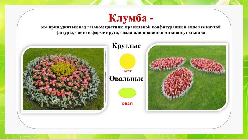 Клумба - это приподнятый над газоном цветник правильной конфигурации в виде замкнутой фигуры, часто в форме круга, овала или правильного многоугольника