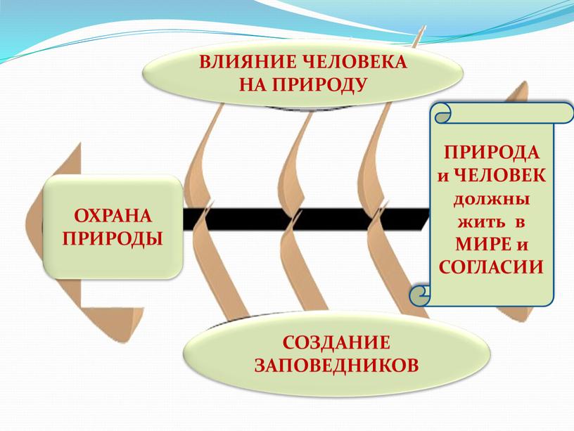 ВЛИЯНИЕ ЧЕЛОВЕКА НА ПРИРОДУ СОЗДАНИЕ