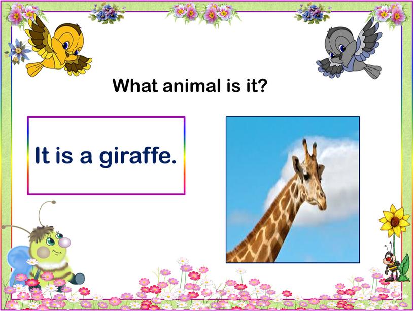 What animal is it? It is a giraffe