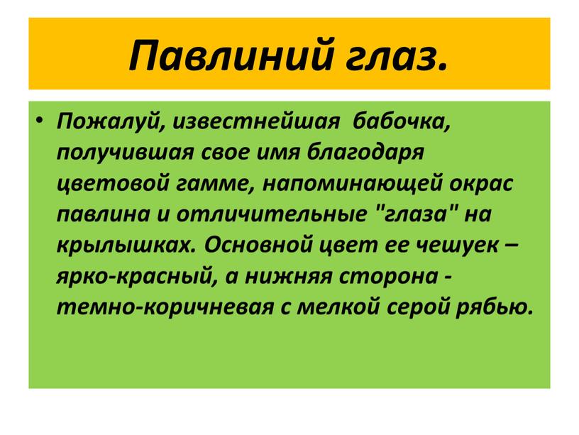 Павлиний глаз. Пожалуй, известнейшая бабочка, получившая свое имя благодаря цветовой гамме, напоминающей окрас павлина и отличительные "глаза" на крылышках