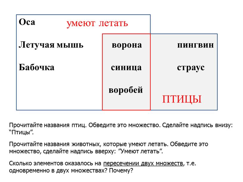 Оса Летучая мышь ворона пингвин