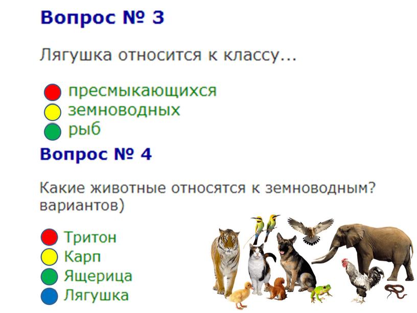 Тестовая работа по теме "Разнообразие животных". Окружающий мир (3 класс)