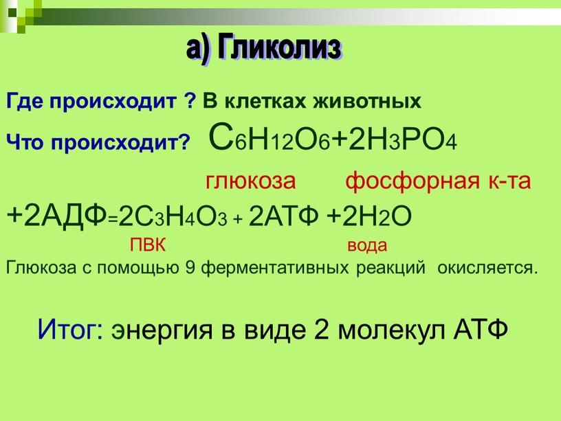 Где происходит ? В клетках животных