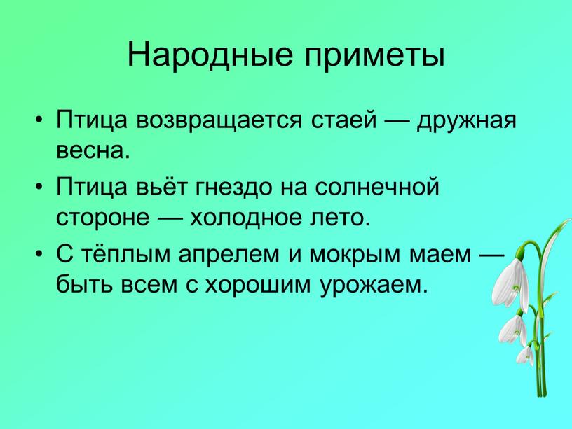 Народные приметы Птица возвращается стаей — дружная весна