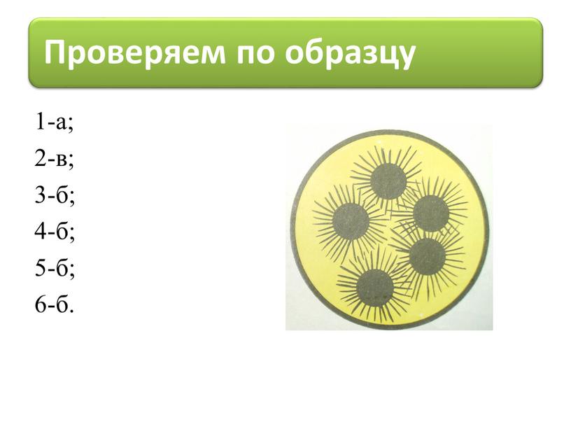 1-а; 2-в; 3-б; 4-б; 5-б; 6-б.