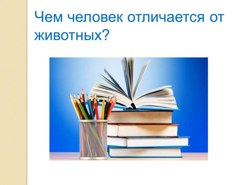 Чем человек отличается от животных?