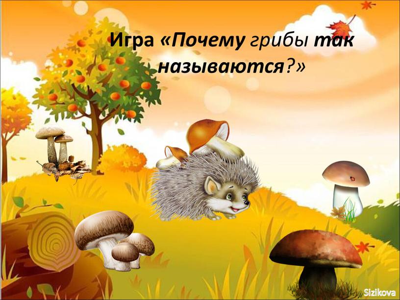 Игра «Почему грибы так называются ?»