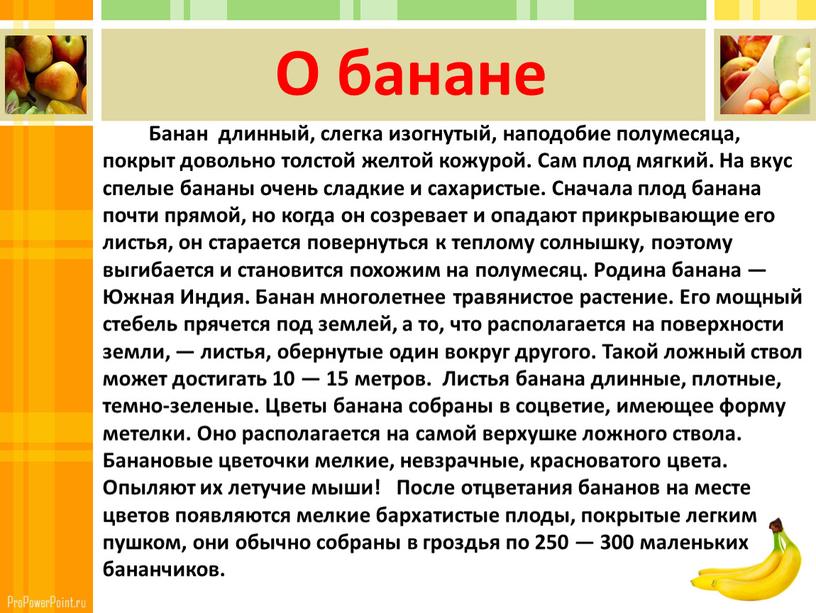 О банане Банан длинный, слегка изогнутый, наподобие полумесяца, покрыт довольно толстой желтой кожурой