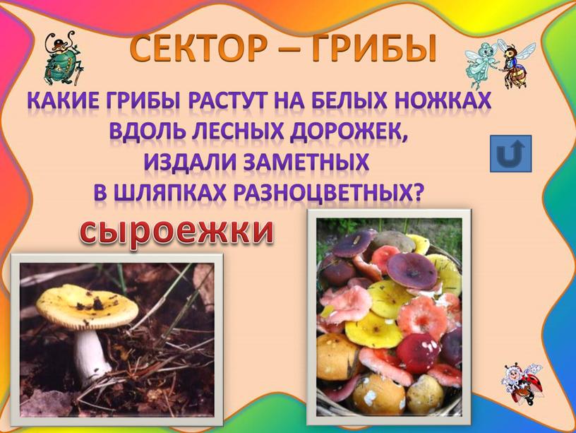 СЕКТОР – ГРИБЫ Какие грибы растут на белых ножках вдоль лесных дорожек, издали заметных в шляпках разноцветных? сыроежки