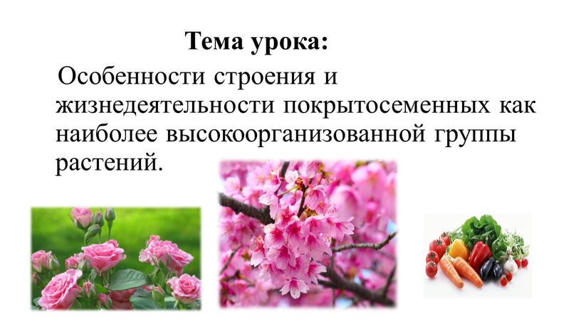 Тема урока: Особенности строения и жизнедеятельности покрытосеменных как наиболее высокоорганизованной группы растений