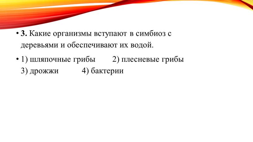 Какие организмы вступают в симбиоз с деревьями и обеспечивают их водой