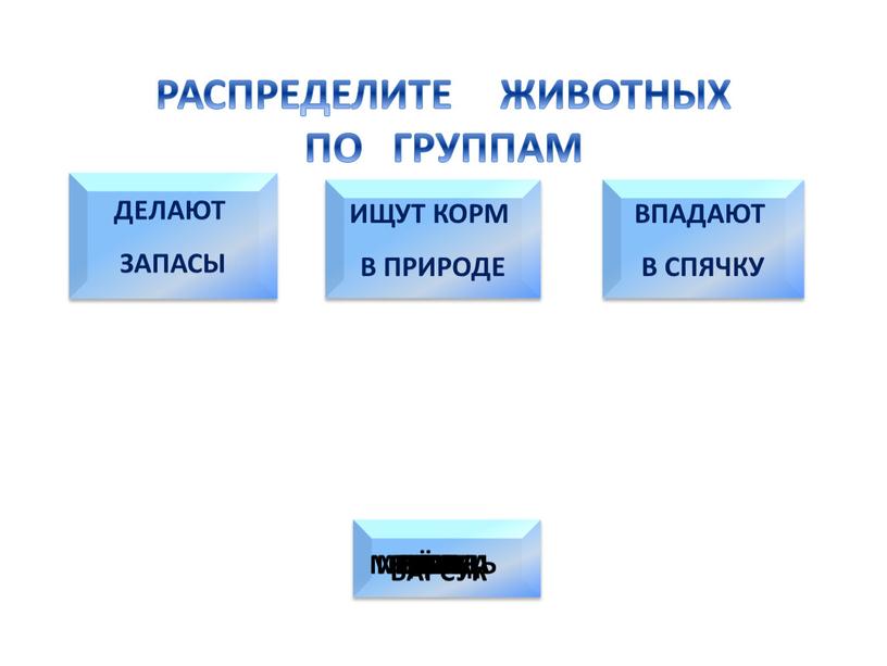 РАСПРЕДЕЛИТЕ ЖИВОТНЫХ ПО