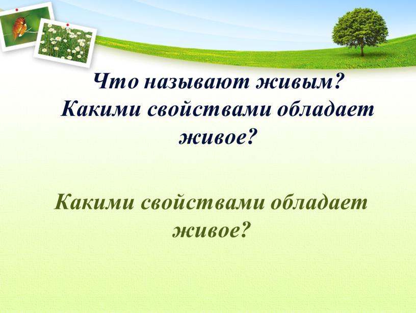 Что называют живым? Какими свойствами обладает живое?