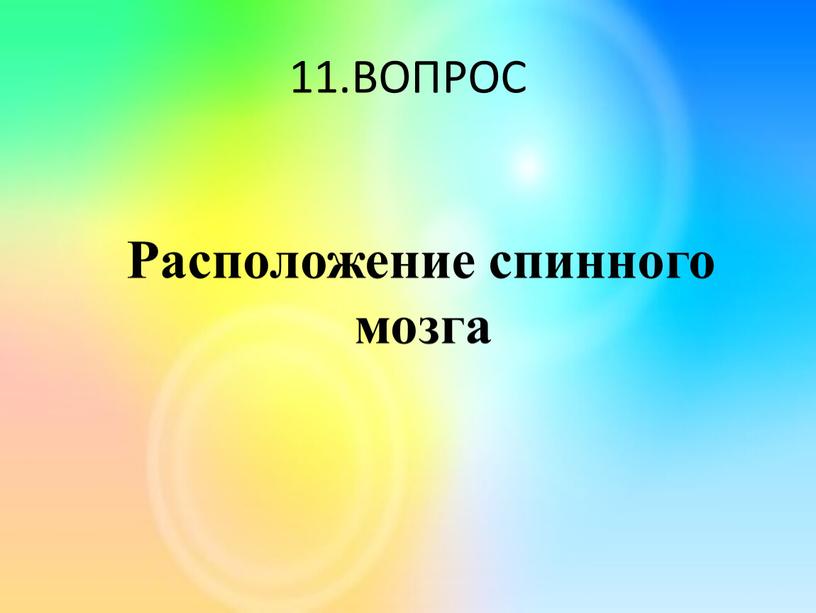 ВОПРОС Расположение спинного мозга