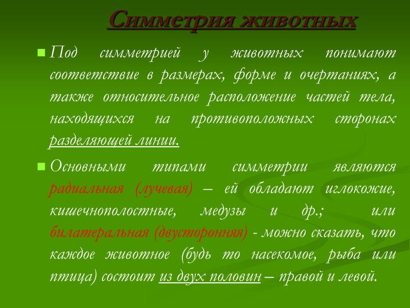 Симметрия животных Под симметрией у животных понимают соответствие в размерах, форме и очертаниях, а также относительное расположение частей тела, находящихся на противоположных сторонах разделяющей линии