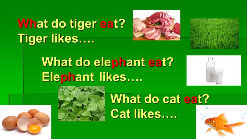 What do tiger eat? Tiger likes…