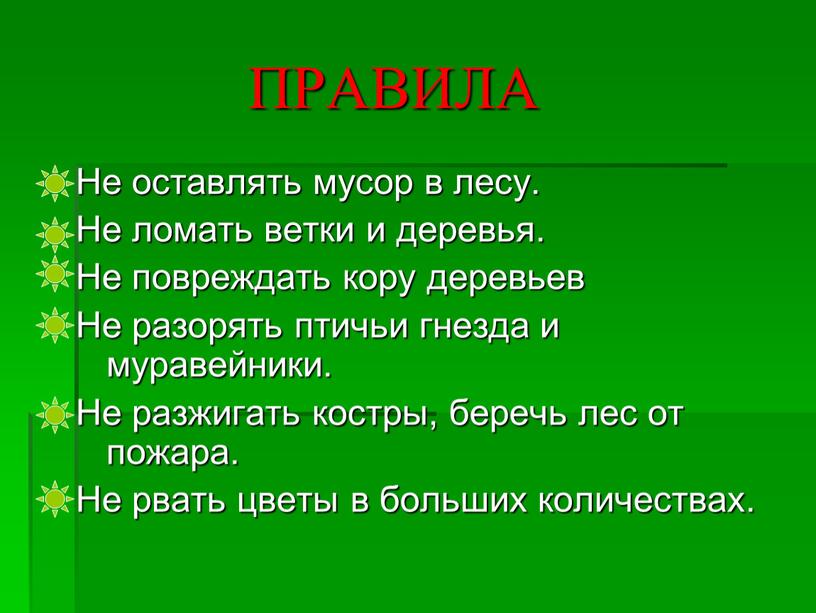 ПРАВИЛА Не оставлять мусор в лесу