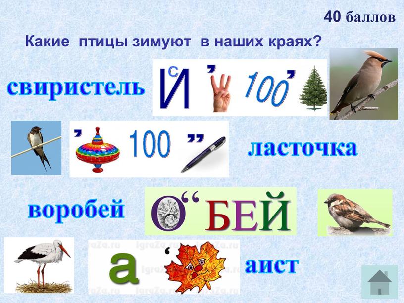 Какие птицы зимуют в наших краях? 40 баллов свиристель ласточка воробей аист