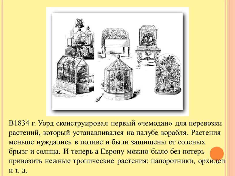 В1834 г. Уорд сконструировал первый «чемодан» для перевозки растений, который устанавливался на палубе корабля